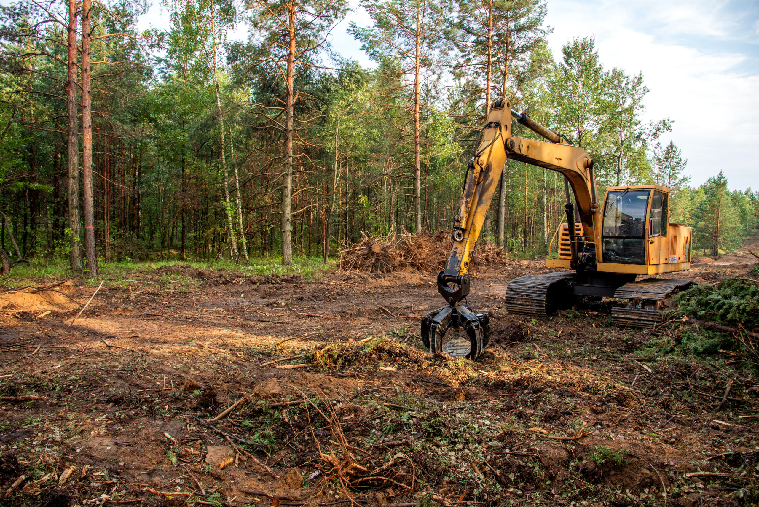 Commercial Land Clearing 101: A Simple Guide